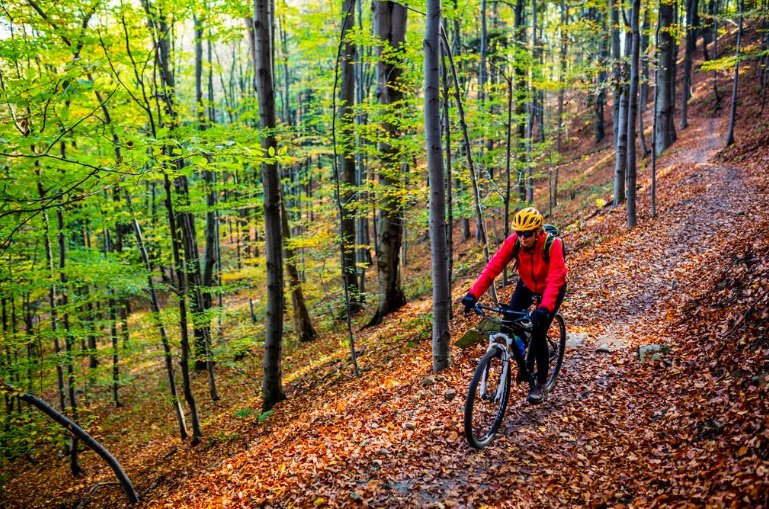 Discover the Best Biking Trails: Ultimate Guide to Off-Road Biking Adventures